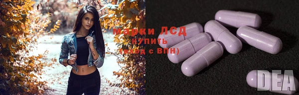 ECSTASY Белокуриха