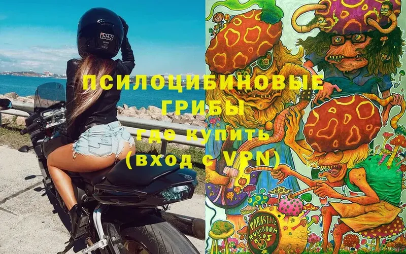 Псилоцибиновые грибы Magic Shrooms  Грязовец 